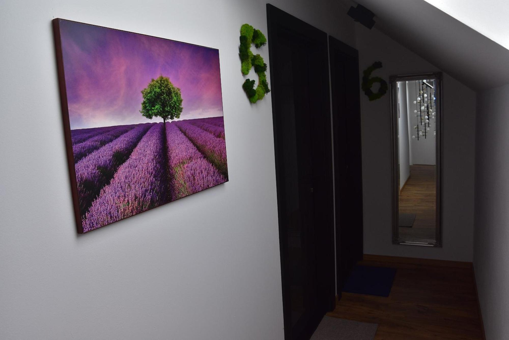 Apartmany Zakovce & Spa Wielka Łomnica Zewnętrze zdjęcie